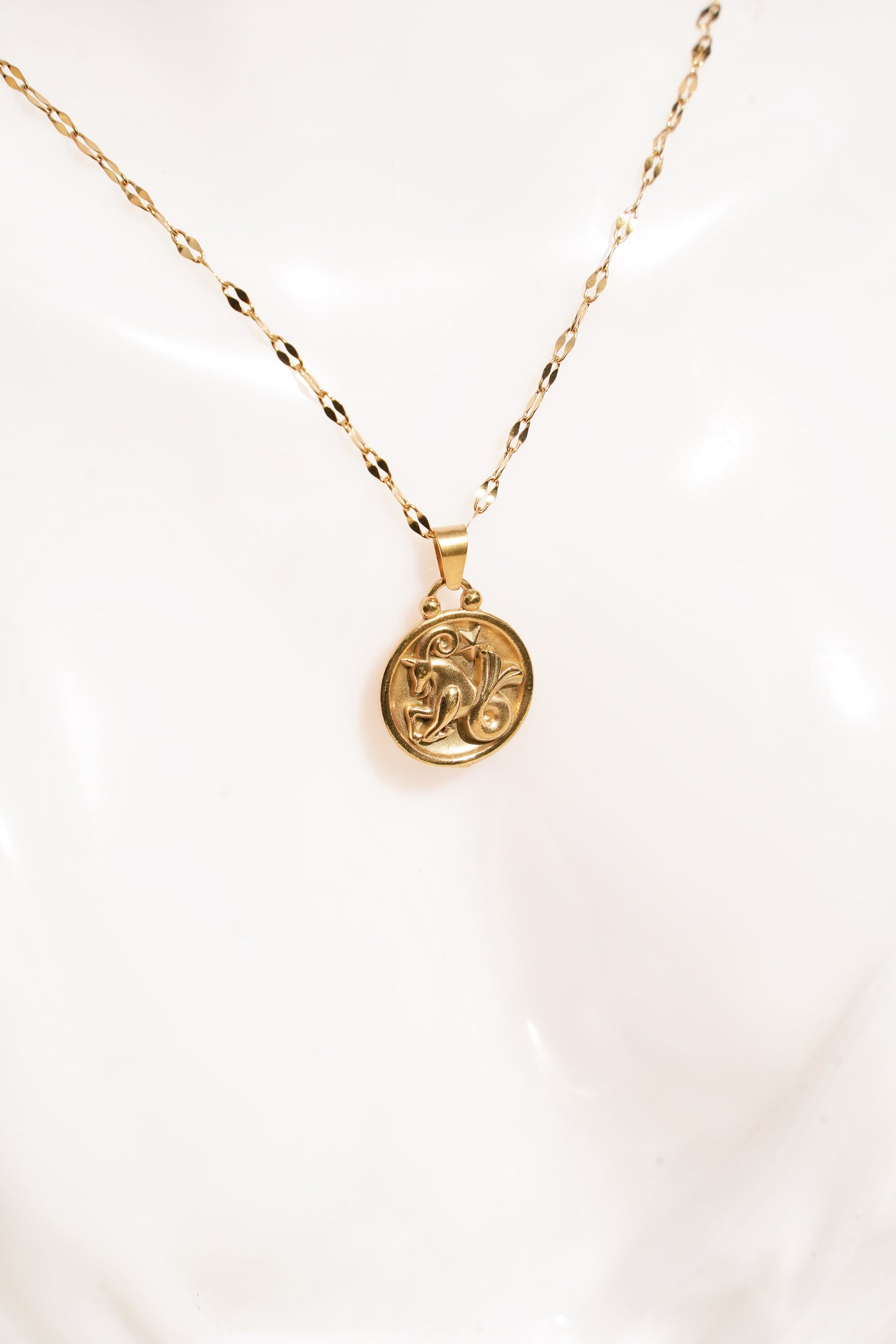 Capricorn Gold Vermeil Charm Necklace